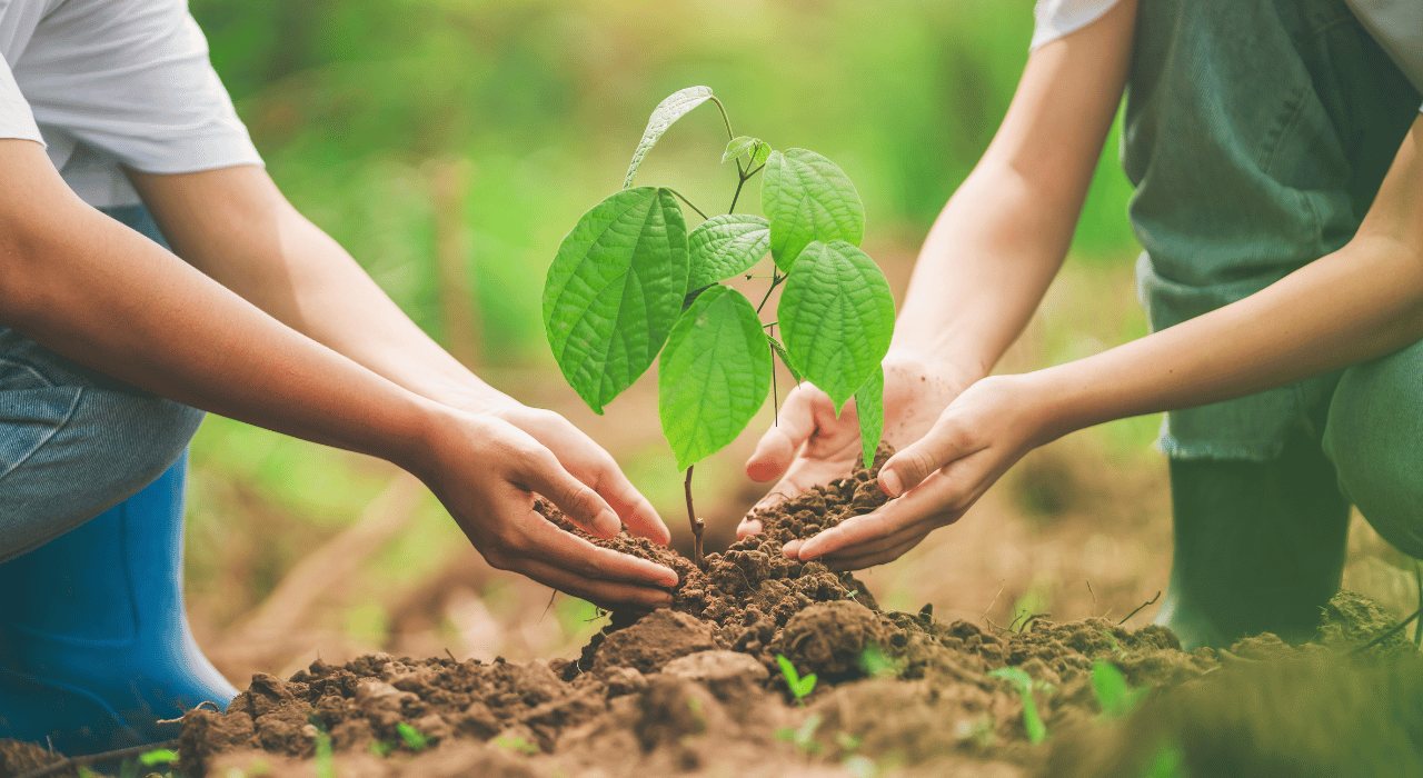 Specialist Charity Consultancy
